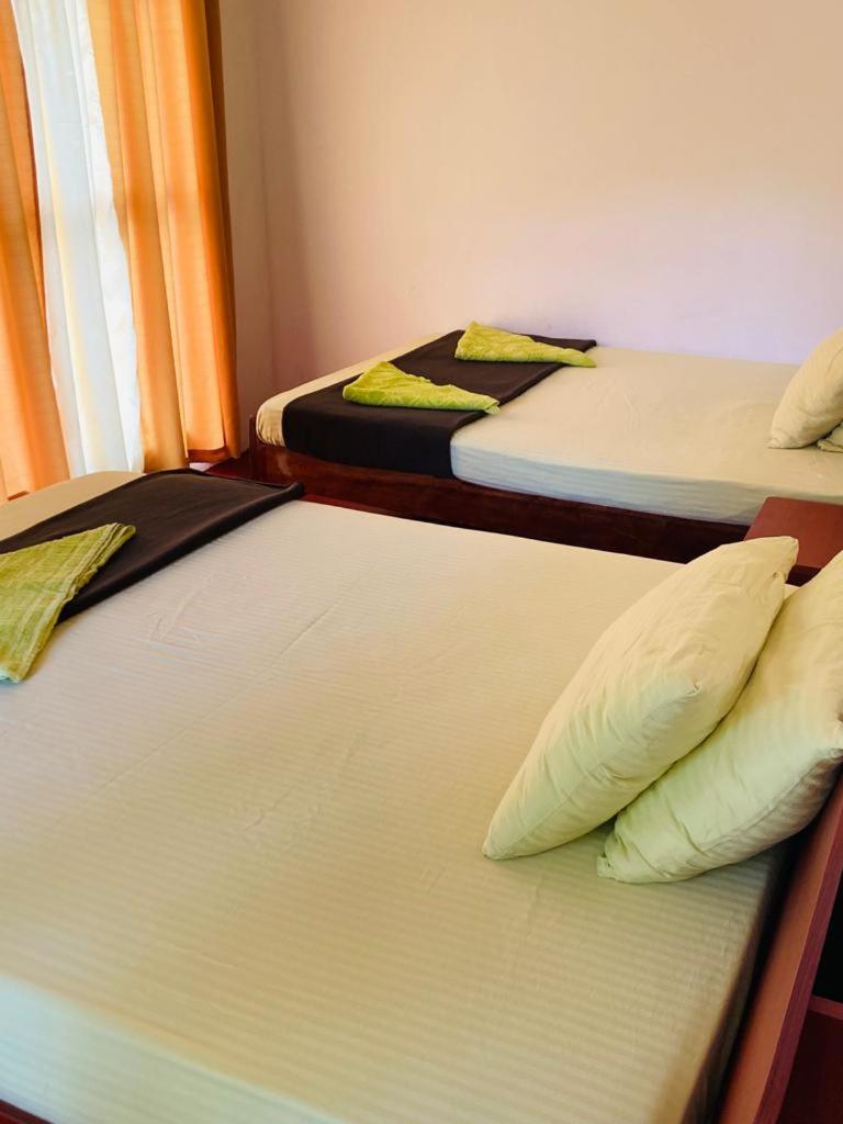 엘라 Silent Nest B&B 외부 사진